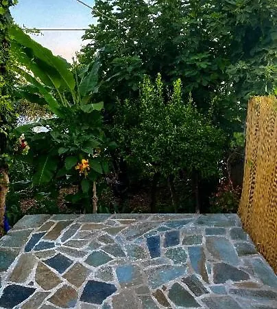 Dina's House *